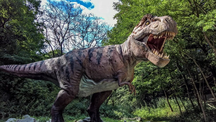 Why did Tyrannosaurus rex legs get short