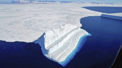 area of ​​seasonal sea ice in Antarctica for the first time became less than 2 million square meters km