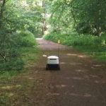 A photo of a robot lost in the forest has become popular on the Web