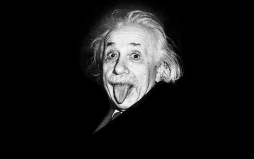 A wise quote from Albert Einstein about fools and geniuses that says a lot about us 2