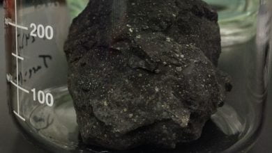 All elements of DNA and RNA are found in meteorites