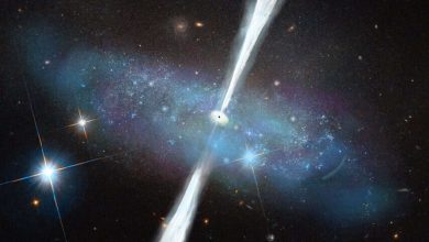 Astronomers have discovered a hidden treasure trove of massive black holes