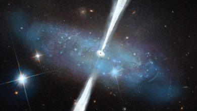 Astronomers have discovered many massive black holes in dwarf galaxies