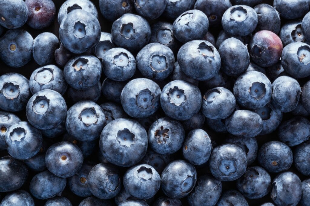 Blueberries lower risk of dementia