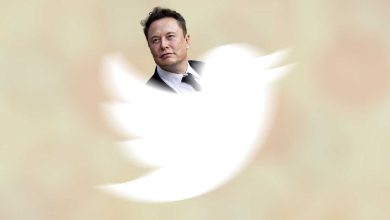 Chaos and manipulation Twitter investors sued Elon Musk