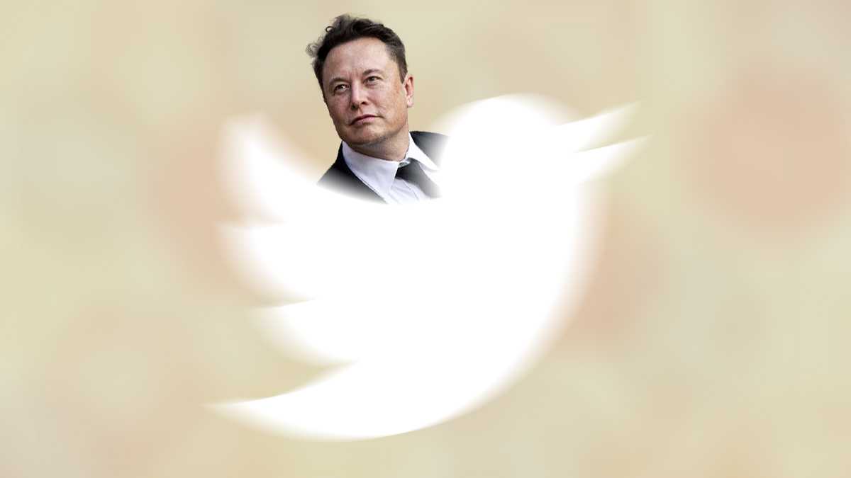 Chaos and manipulation Twitter investors sued Elon Musk