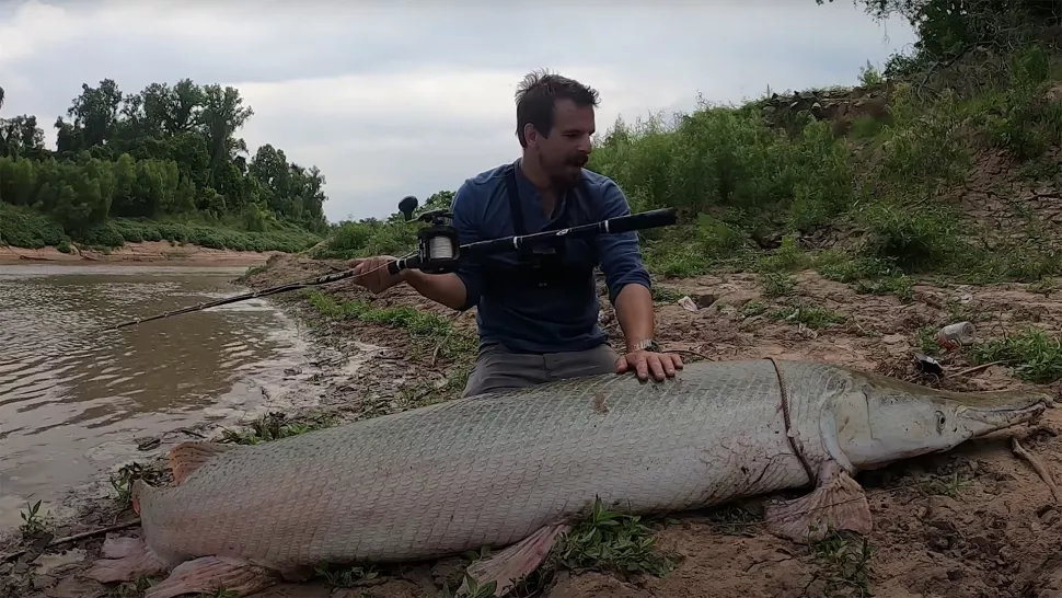 Colossal 300 pound alligator gar caught and released in Texas bayou