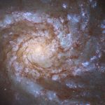 Double Hubble observation of the spiral galaxy M99