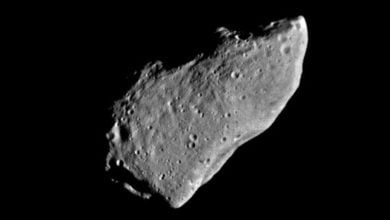 Landing on the asteroid Eros