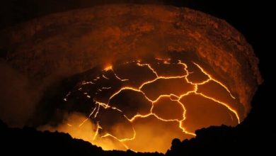 Lava lake of the Antarctic volcano exists thanks to carbon dioxide from the mantle 1