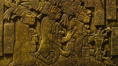Mayan texts hidden for millennia deciphered