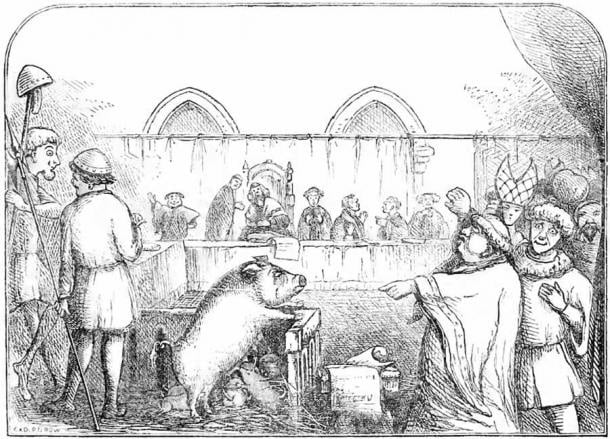Medieval Justice Pig was put on trial sentenced and executed for murder 2