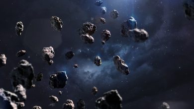More than 1 000 unknown asteroids found in Hubble images