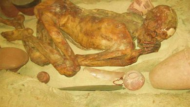 Mystery of the ancient mummy The Egyptian man of Gebelein was stabbed in the back 1