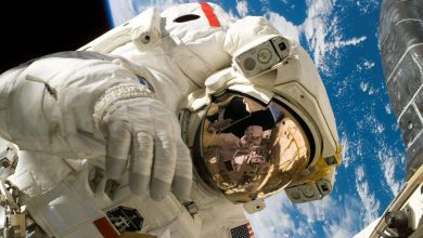 New study reveals effects of long term spaceflight on astronauts brains