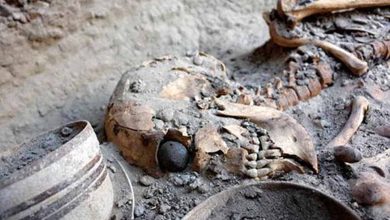 Oldest artificial eye in the world 2800 BC found in Iranian burnt city 1