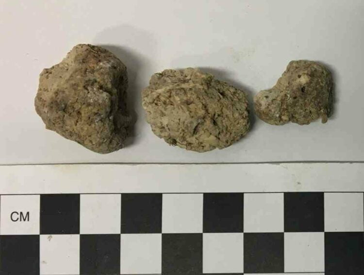 Parasites found in prehistoric feces found near Stonehenge 2