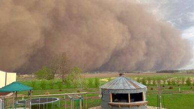 Rare haboob swept through the northern plains of the United States