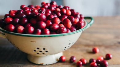 Regular cranberry consumption improved episodic memory in 3 Months