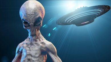 Researcher believes there are four malevolent extraterrestrial civilizations in our galaxy