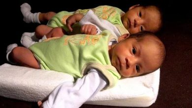 Scientists compared a pair of separated twins who grew up in the US and South Korea they found a big difference in IQ
