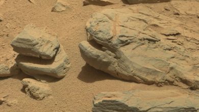 Scientists discover rocks on Mars that look like Earths