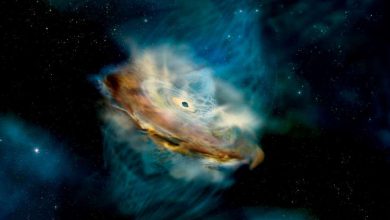 Scientists have suggested that a brightly erupted black hole survived the change of magnetic poles
