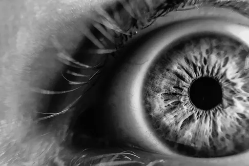 Scientists resurrect cells in dead persons eyes