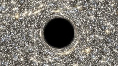 Supermassive Black Holes may come from comparatively humble beginnings