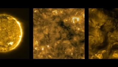 Tiny bright dots are everywhere on the Sun and we can finally find out their source