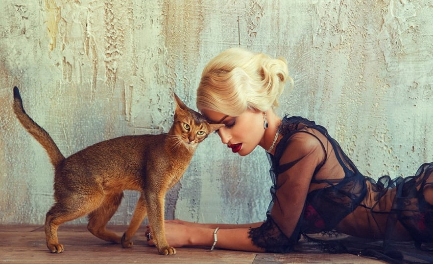Toxoplasmosis makes people more attractive 1