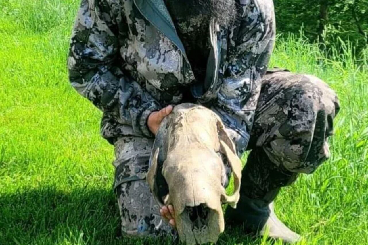 Turkey hunter finds 11 000 year old giant sloth skull