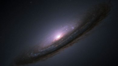 Type 1a supernovae