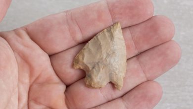 Unknown paleo object unearthed in the USA