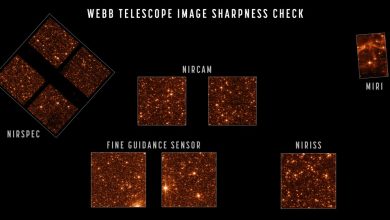 Webb Space Telescope in full focus ready for instrumentation