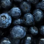 What are Antioxidants and should you take them in supplementation