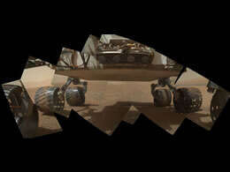 What is the probability that Curiosity will detect Martians