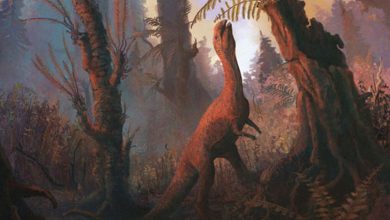 extinction of the dinosaurs allowed plants to grow huge fruits