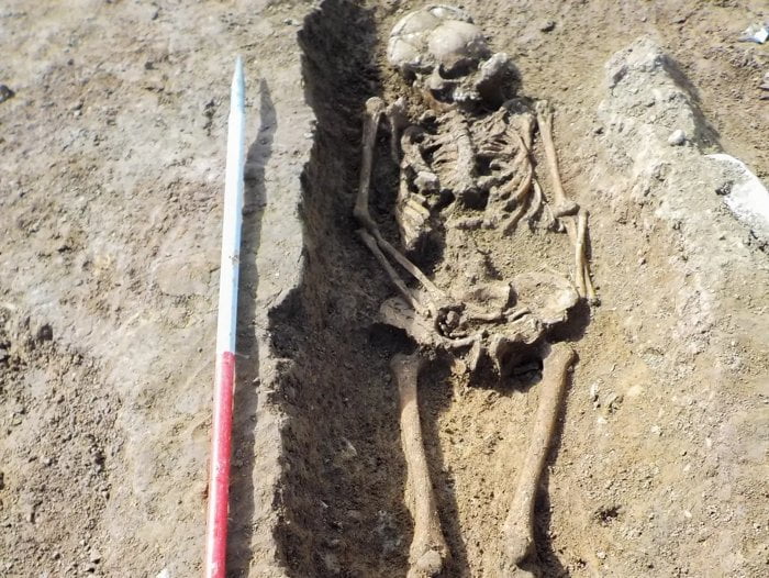 mysterious skeleton with its head placed in its feet is an ancient mystery the likes of which scientists have seen before