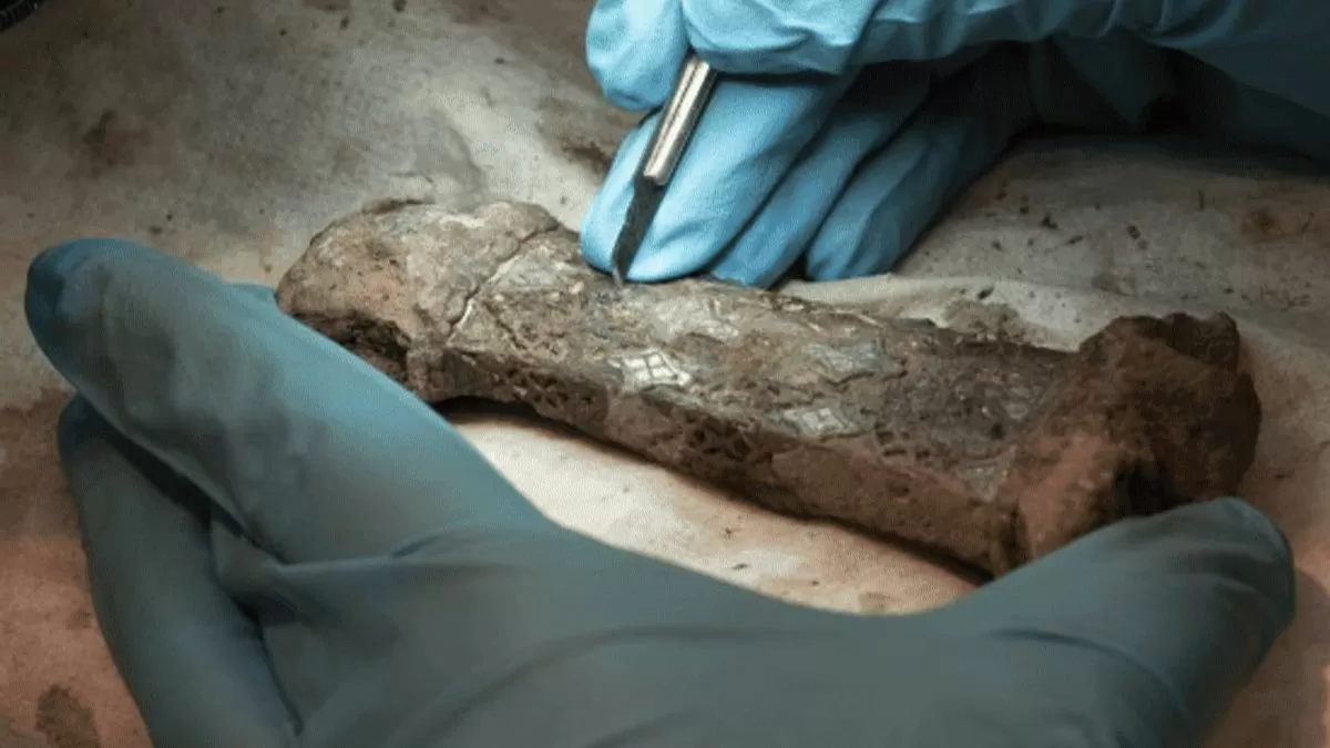 1200 year old Viking sword found in Norway