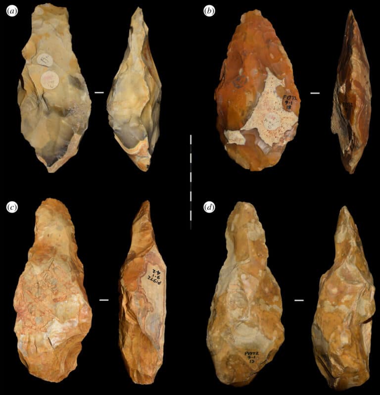 600 000 year old furrier tools found in Britain 2