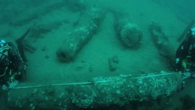 A 340 year old shipwreck could change our understanding of 17th century maritime history