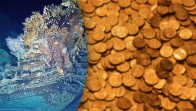 A ship that sank in the 18th century has finally been explored there may be tons of gold and emeralds
