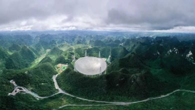 Alien signal received by China is likely to be radio interference