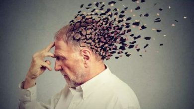 Alzheimers disease fries your brain