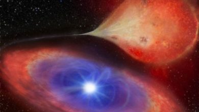 American astronomers caught a white dwarf in space cannibalism