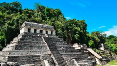 Archaeologists find ancient Mayan city in Mexico