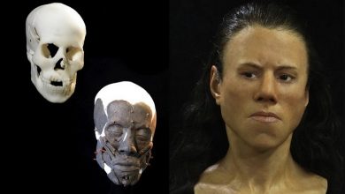 Archaeologists have recreated the face of a woman who lived 4 000 years ago 1