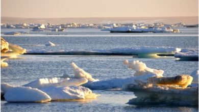 Arctic warming 7 times faster than global average