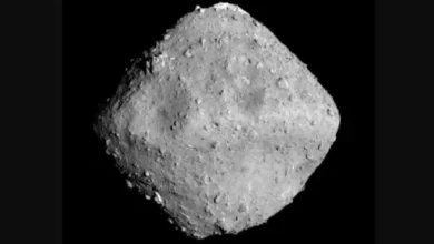 Asteroid Ryugu samples returned to Earth contain the oldest material ever found 1